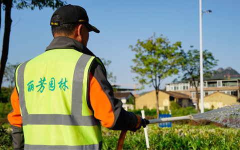 喜讯！丽芳园林韶关市政道路养护项目获表彰！