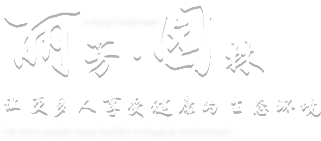 办公室花卉租摆