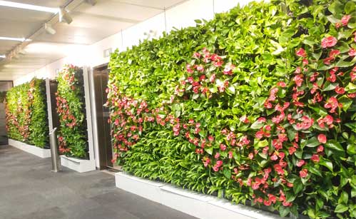 绿植墙设计