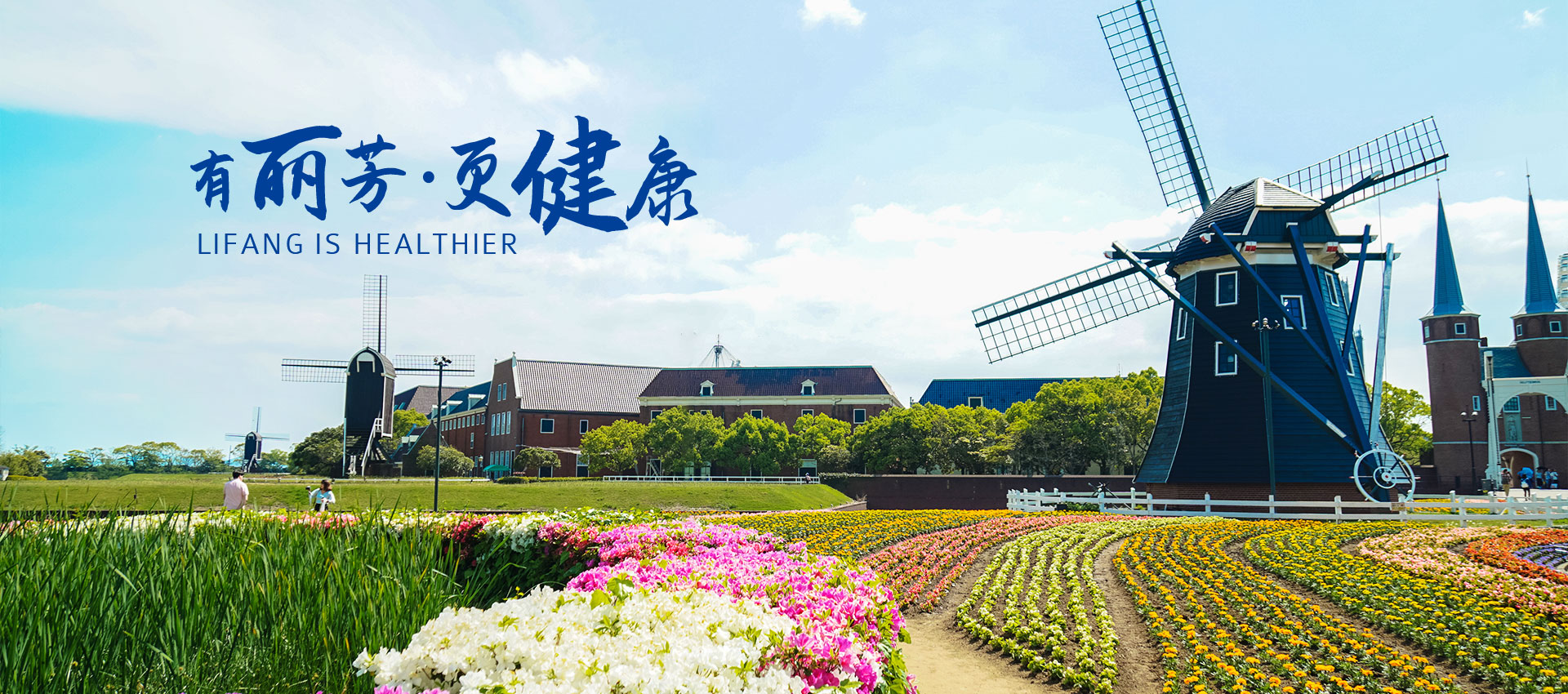 花卉租摆公司简介