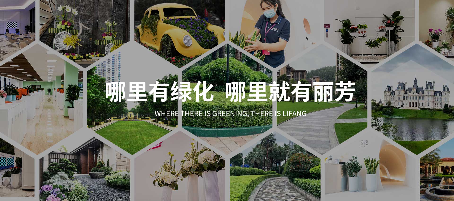 丽芳业务