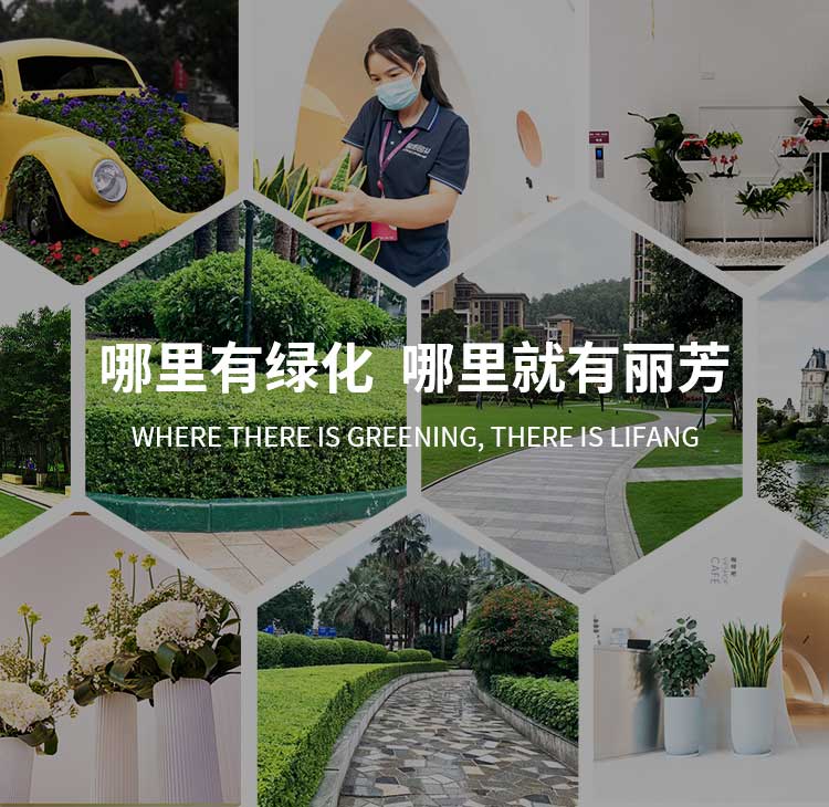 丽芳业务