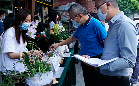 丽芳园林园艺康养盆栽竞赛圆满举办，现场精彩缤纷~