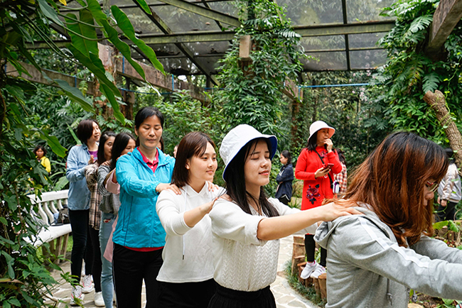 女神节康养活动