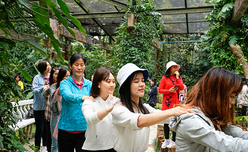 女神节康养活动