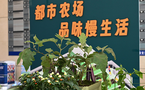 丽芳园林“都市农场”走进珠江新城CBD写字楼，邀您来体验！