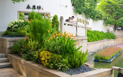 景观设计案例，丽芳园林匠心打造永庆坊“莫奈花园”花境盛宴