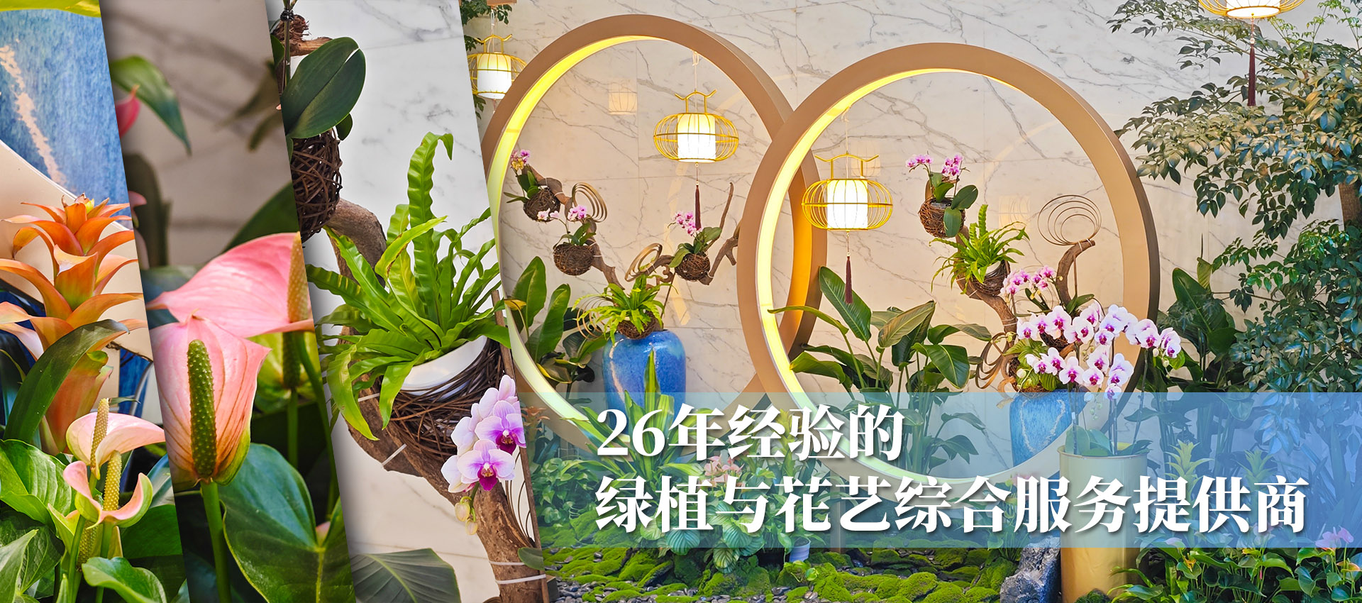 租摆