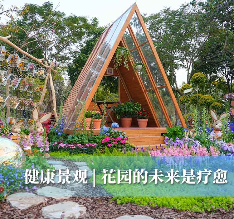 草云间