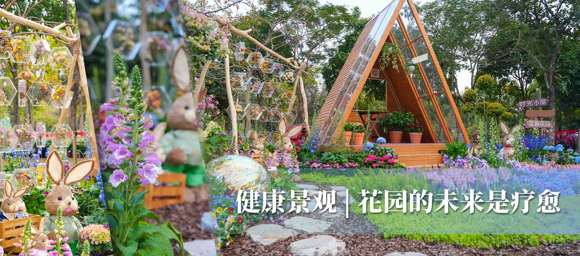 草云间
