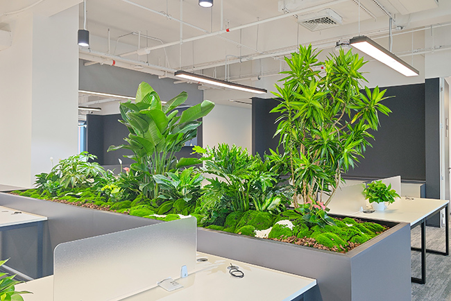 库洛游戏总部绿植租摆