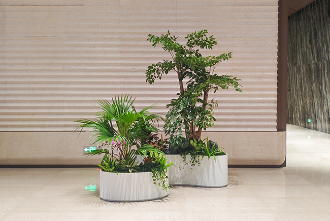粤胜广场大堂植物美陈——绿色共融激活商业空间