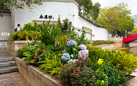 丽芳园林景观设计案例，广州荔湾西关“绿美”焕新