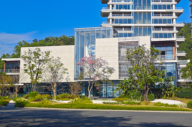 深圳中信金沙湾绿化养护案例，以专业养护共筑山海理想