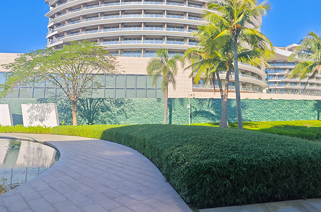 深圳中信金沙湾绿化养护案例，以专业养护共筑山海理想