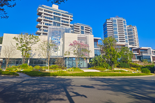 深圳中信金沙湾绿化养护案例，以专业养护共筑山海理想