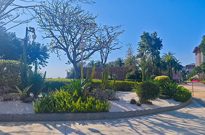 深圳中信金沙湾绿化养护案例，以专业养护共筑山海理想