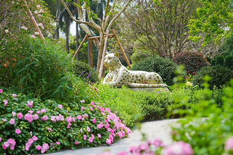 丽芳园林案例｜匠心养护香江1号“莫奈花园”，赋能高端品质人居