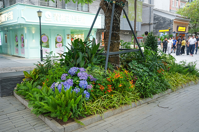 广州永庆坊旅游区——花境设计