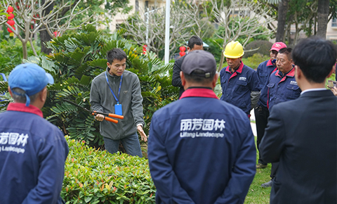 小区绿化养护技术实操培训