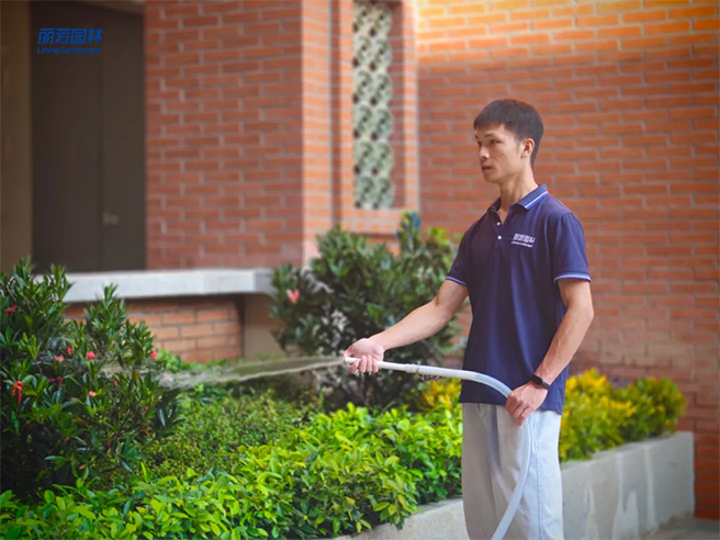 中山大学博物馆绿化景观设计施工