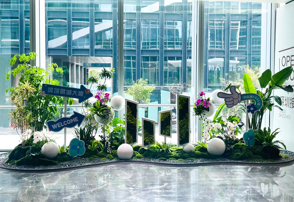 深圳景湖大厦绿植造景